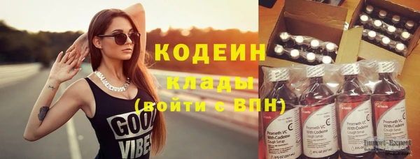 дживик Елабуга