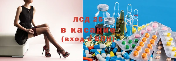 дживик Елабуга