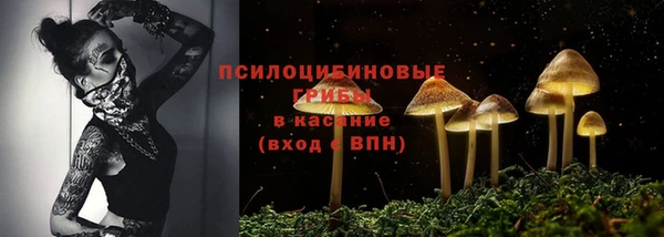 синтетический гашиш Ельня