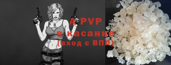 стафф Елизово
