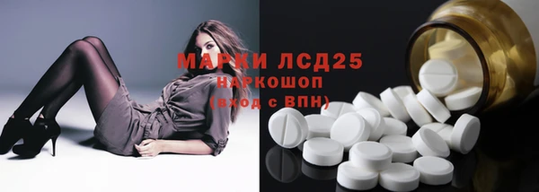 стафф Елизово