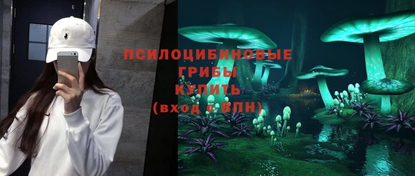 винт Дмитров