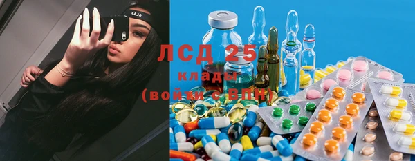 дживик Елабуга