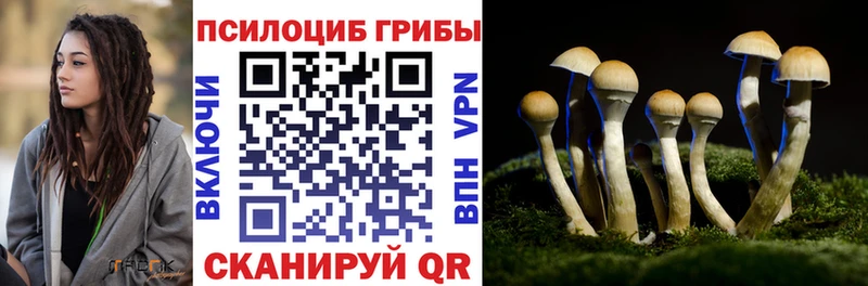 Купить закладки  Черемхово  Галлюциногенные грибы Magic Shrooms 
